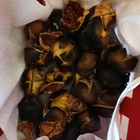 Couette-café Il Soprano *